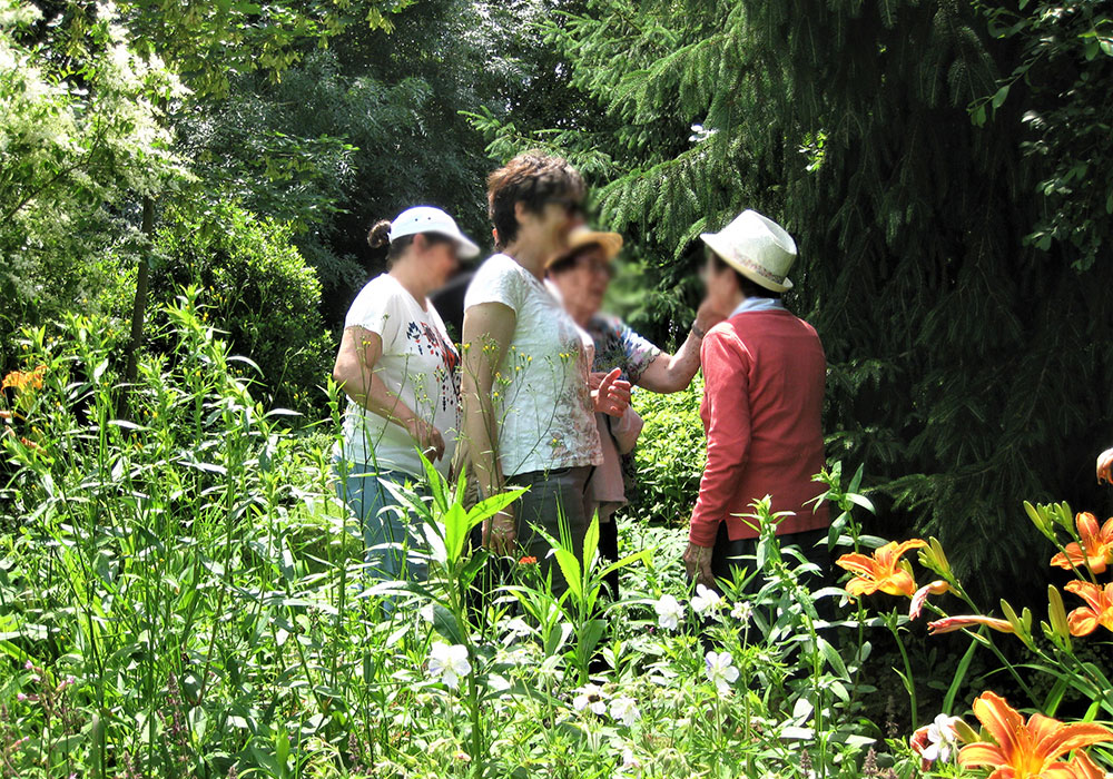 Sortie en groupe